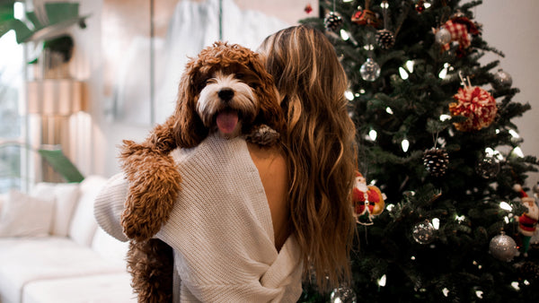 The Best Gifts for Dog Parents