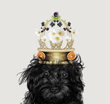 Home Is Where My Bone Is Room Spray Sample