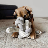 Nou Dog Toy