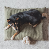 Nou Dog Toy
