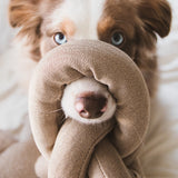 Nou Dog Toy
