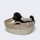 cloud7-dog-basket-cuddly-plush-ecru-dog