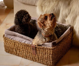 dog-bed-cloud7-hideaway-basket-blush-light-gray-beds-size-m-medium-lifestyle-image-1-with-dogs-sitting-the-worthy-bone