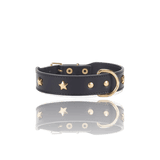 dog-collar-branni-star-collars-black-leather-gold-detail-packshot-the-worthy-bone