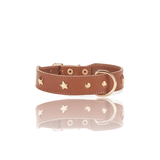 dog-collar-branni-star-collars-cognac-leather-gold-detail-packshot-the-worthy-bone