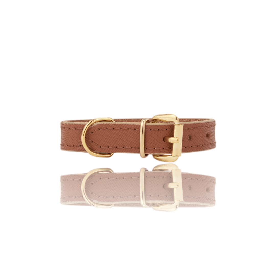 BRANNI, Small Dog Collar in Cognac Leather (Made in Italy)