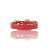Toy Dog Collar