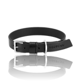 dog-collar-labbvenn-kollu-black-leather-silver-buckle-packshot-image-the-worthy-bone