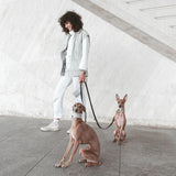 dog-leash-branni-multifunctional-infinity-leash-black-leather-gold-detail-lifestyle-combination-image-on-human-two-dogs-sitting-the-worthy-bone