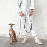dog-leash-branni-multifunctional-infinity-leash-black-leather-gold-detail-lifestyle-image-on-dog-sitting-the-worthy-bone