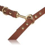 dog-leash-branni-multifunctional-infinity-leashes-cognac-leather-gold-detail-packshot-linked-attached-the-worthy-bone