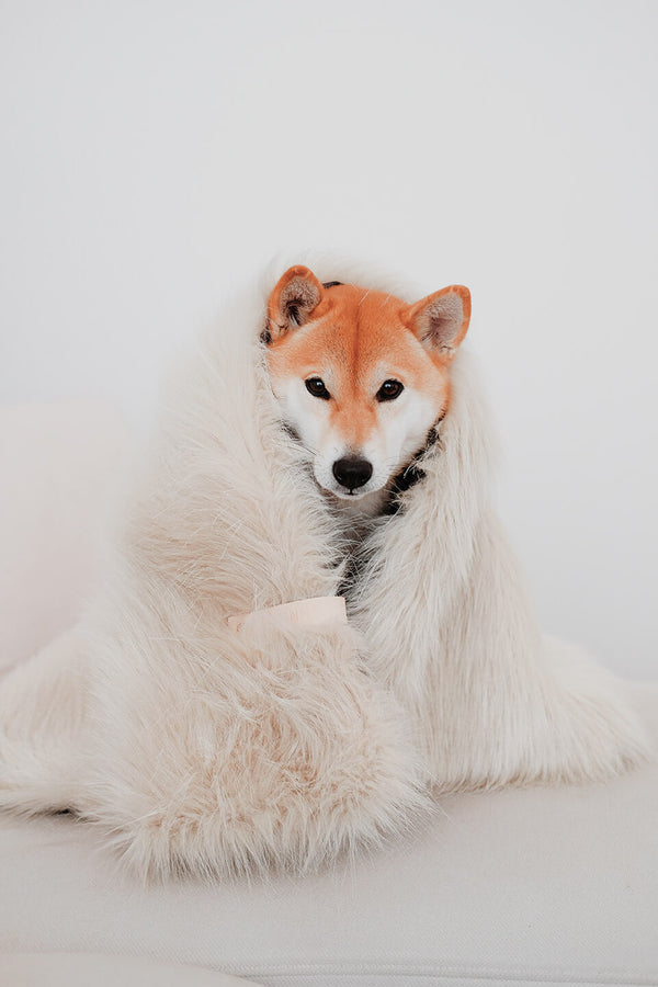 labbvenn-fora-white-dog-blanket-lifestyle-image-shiba-inu-sitting-the-worthy-bone