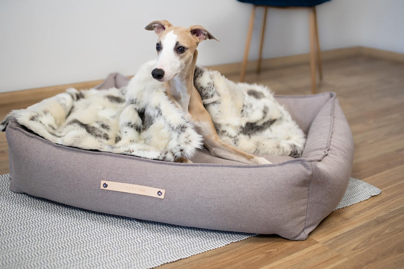 labbvenn-tosse-dog-blanket-lifestyle-image-sitting-up-in-bed-the-worthy-bone