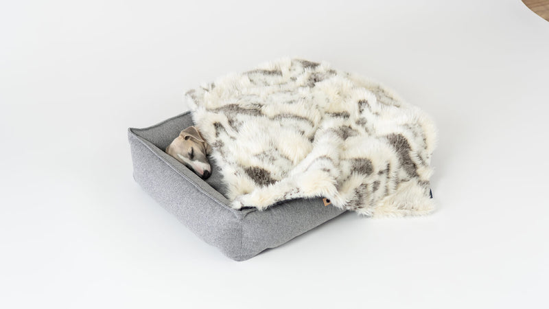 labbvenn-tosse-dog-blanket-lifestyle-image-sleeping-in-bed-the-worthy-bone