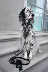 litter-bag-dispenser-labbvenn-saku-black-leather-bag-dispensers-lifestyle-image-sitting-attached-to-leash-collar-the-worthy-bone