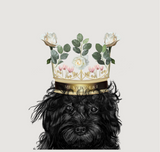 Me, My Bone and I Room Spray Sample