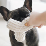 Breuer Dog Toy