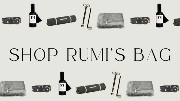 Shop Rumi's Bag: A collection of our CEO's must haves