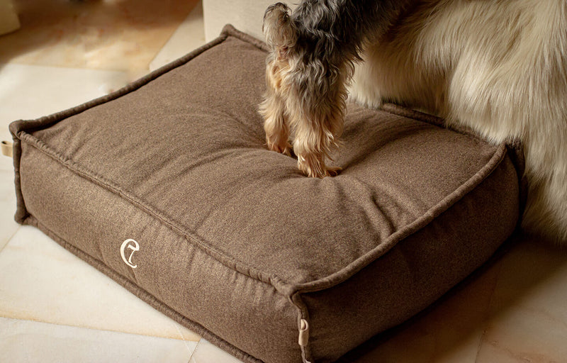 dog-bed-cloud7-cozy-fishbone-beds-natural-brown-size-m-medium-lifestyle-image-with-dog-the-worthy-bone