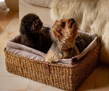    dog-bed-cloud7-hideaway-basket-blush-light-gray-beds-size-m-medium-lifestyle-image-1-with-dogs-sitting-the-worthy-bone