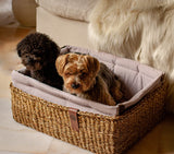 dog-bed-cloud7-hideaway-basket-blush-light-gray-beds-size-m-medium-lifestyle-image-2-with-dogs-sitting-the-worthy-bone