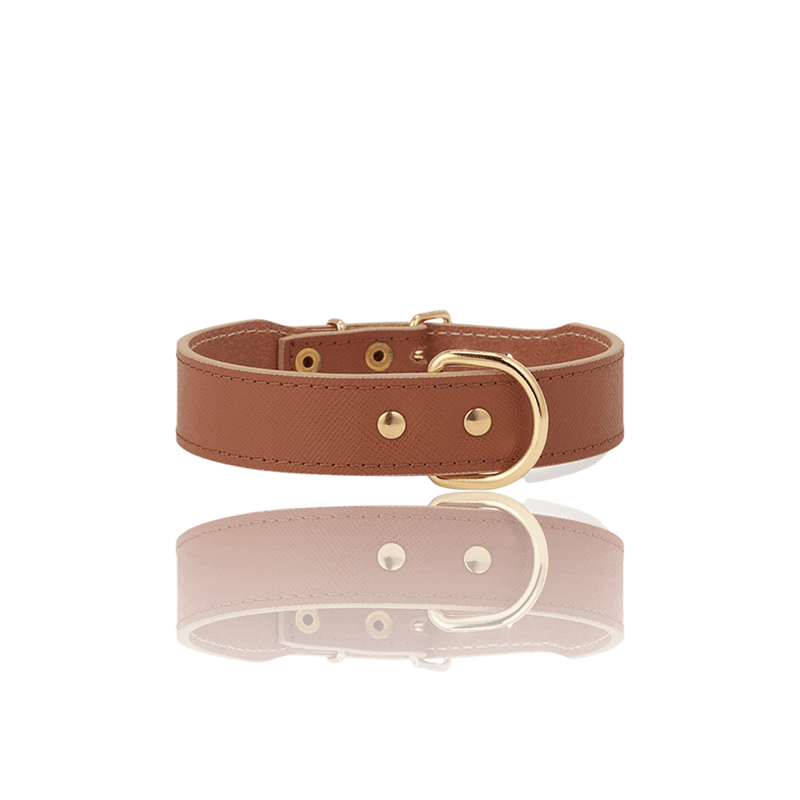 dog-collar-branni-moni-collars-cognac-leather-gold-detail-packshot-front-the-worthy-bone