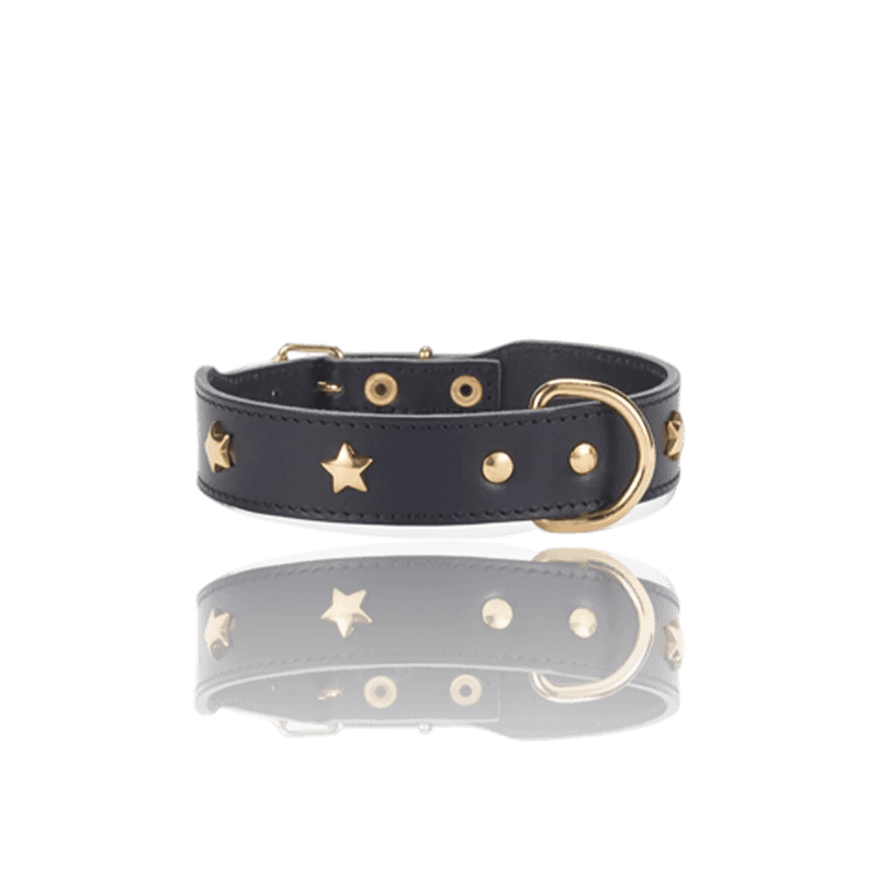 dog-collar-branni-star-collars-black-leather-gold-detail-packshot-the-worthy-bone