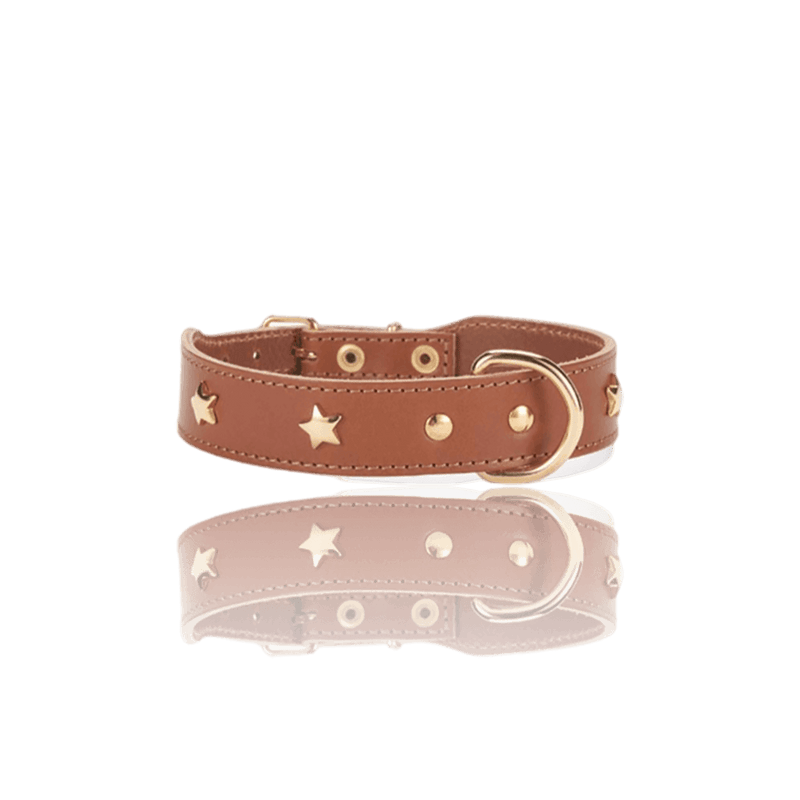 dog-collar-branni-star-collars-cognac-leather-gold-detail-packshot-the-worthy-bone