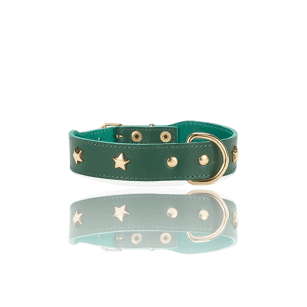dog-collar-branni-star-collars-green-leather-gold-detail-packshot-the-worthy-bone