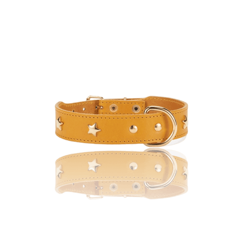 dog-collar-branni-star-collars-yellow-leather-gold-detail-packshot-the-worthy-bone