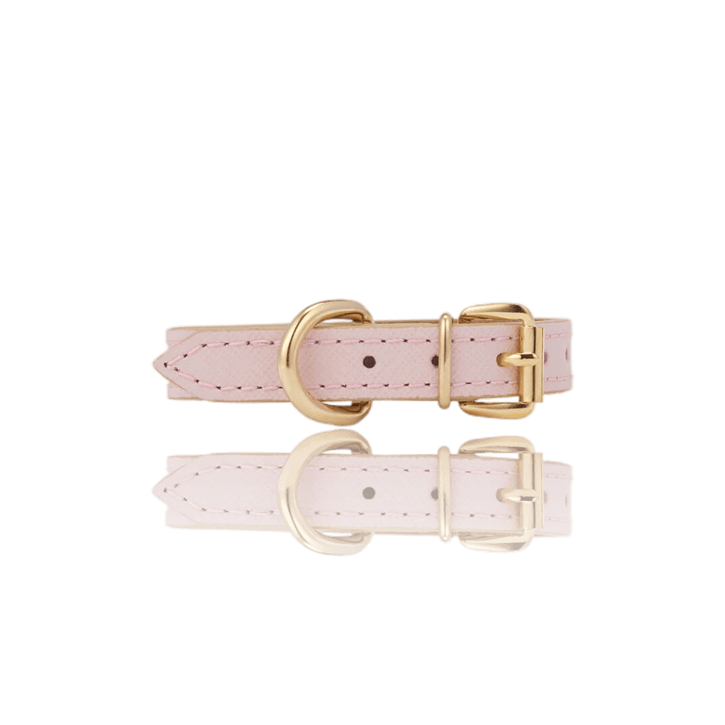 BRANNI, Small Dog Collar in Cognac Leather (Made in Italy)