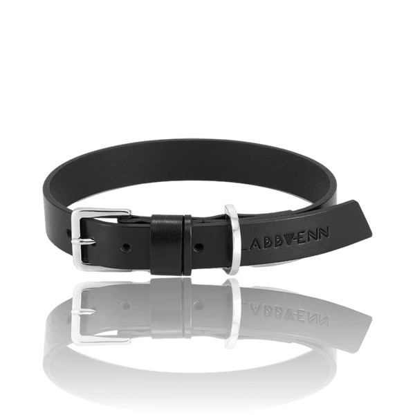 Alyx 2024 dog collar