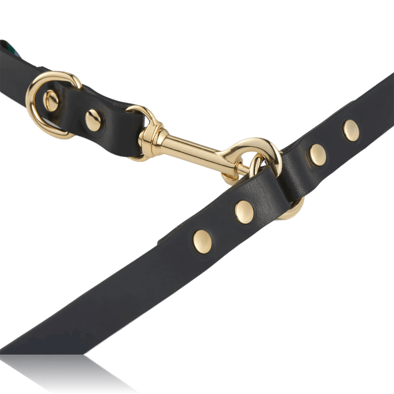 dog-leash-branni-multifunctional-infinity-leash-black-leather-gold-packshot-detail-attached-the-worthy-bone