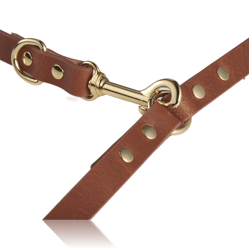 dog-leash-branni-multifunctional-infinity-leashes-cognac-leather-gold-detail-packshot-linked-attached-the-worthy-bone