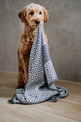 dog-towel-labbvenn-linaa-lifestyle-image-the-worthy-bone