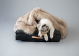 labbvenn-fora-cappuccino-dog-blanket-lifestyle-image-sleeping-the-worthy-bone